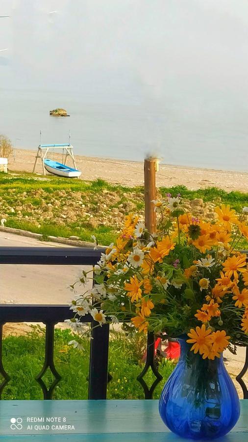 Appartement Socrates Sea View à Kampos Marathokampou Extérieur photo