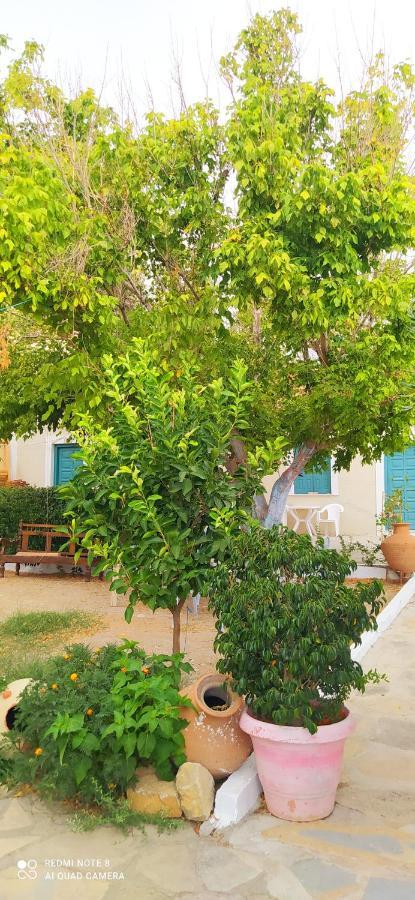 Appartement Socrates Sea View à Kampos Marathokampou Extérieur photo